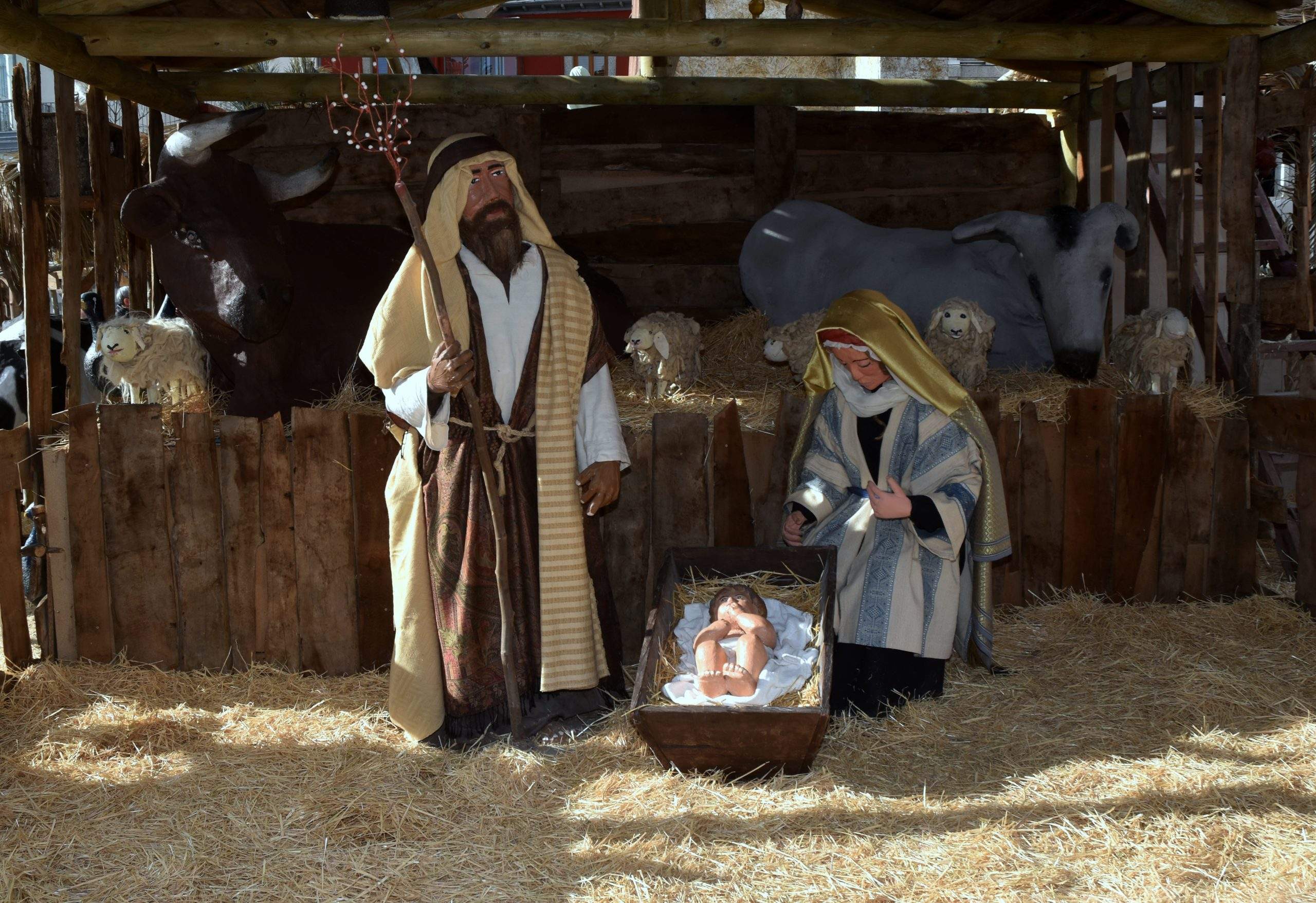 Nativity. Monumental Nativity Scene. 2019-2020