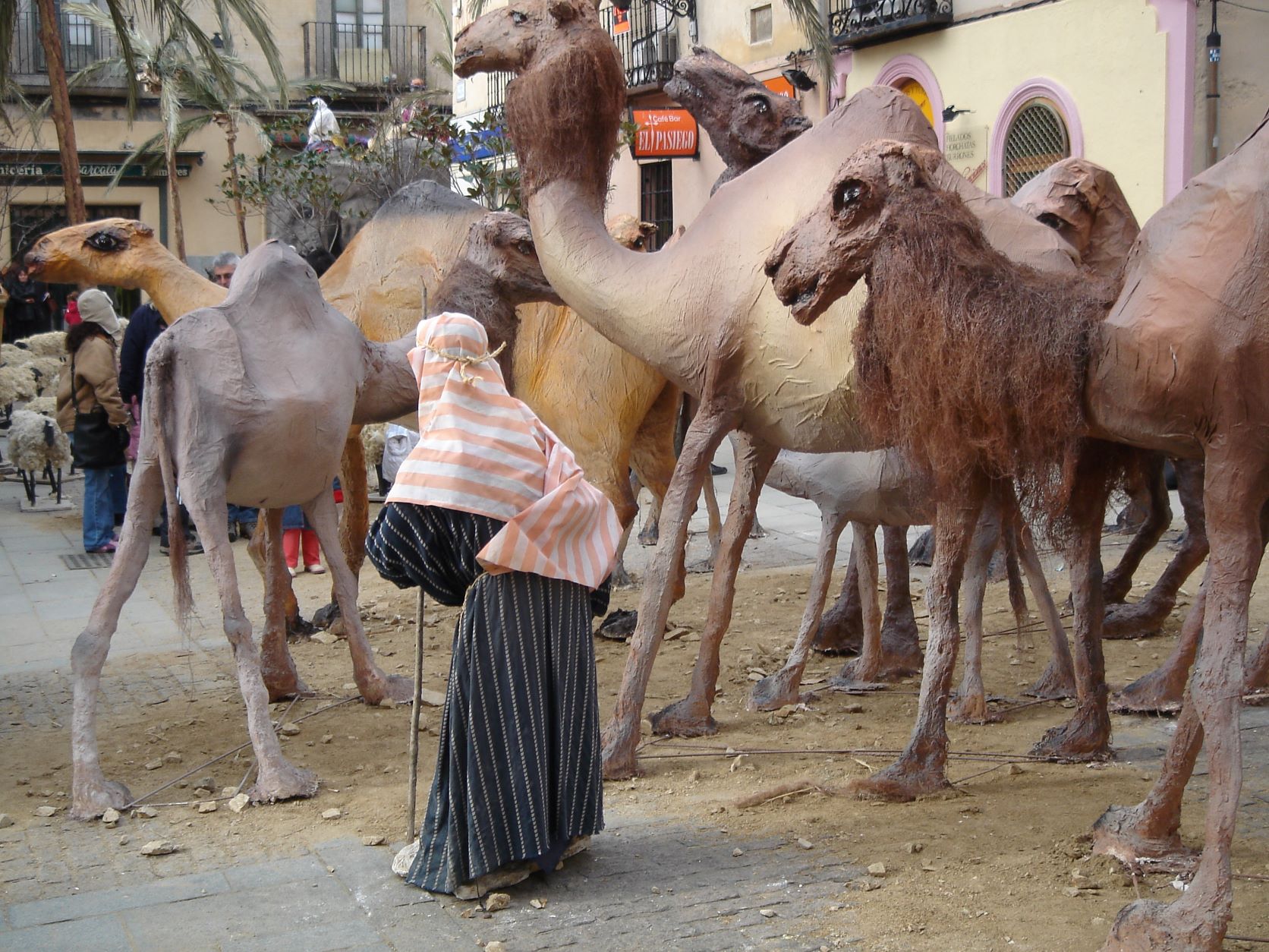 Camellos. Belén Monumental. 2009-2010